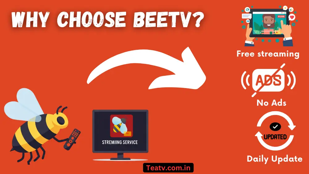 why Choose Bee tv ?