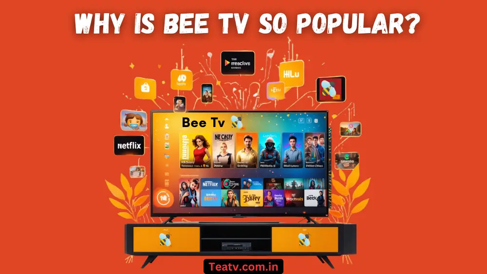 Why is BeeTV So Popular?